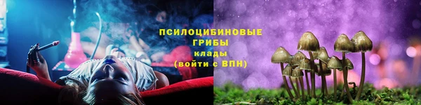 соль курить ск Няндома
