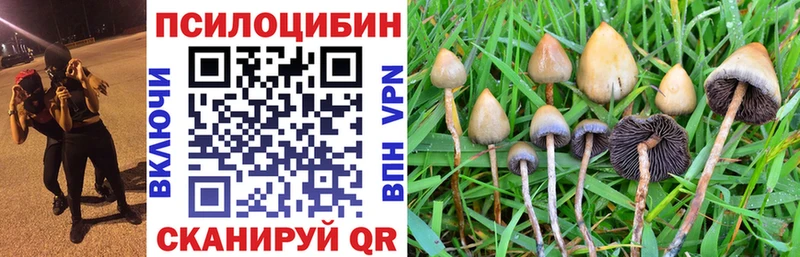 Псилоцибиновые грибы Magic Shrooms  Кирс 